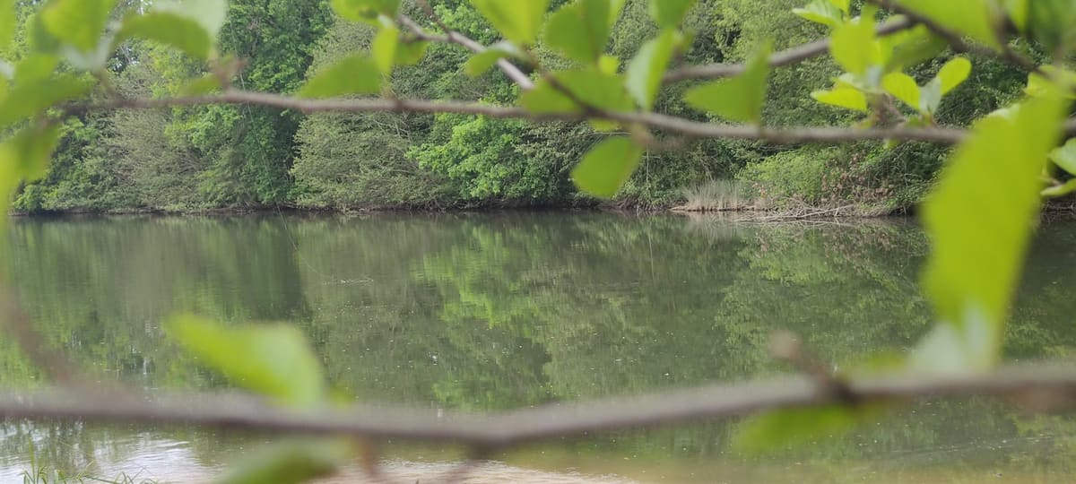 Photo du site de Lisse Lac