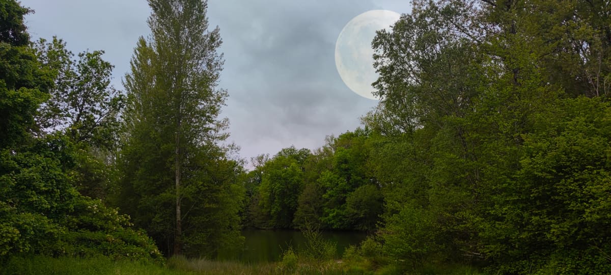 Photo du site de Lisse Lac