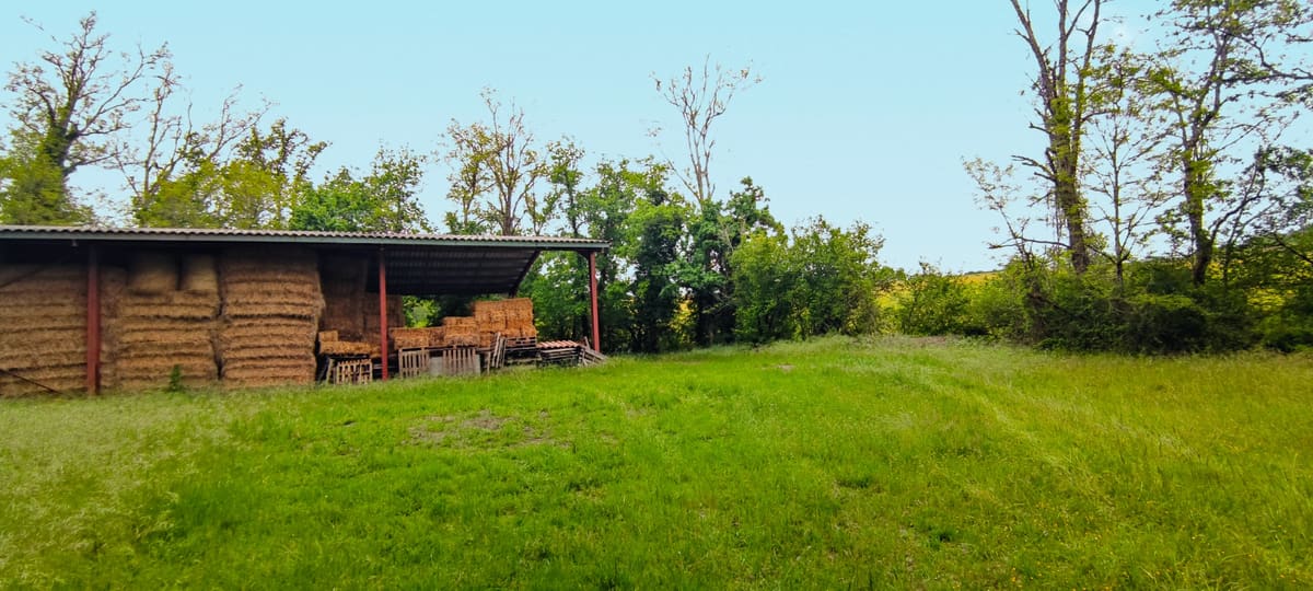 Photo du site de Lisse Lac