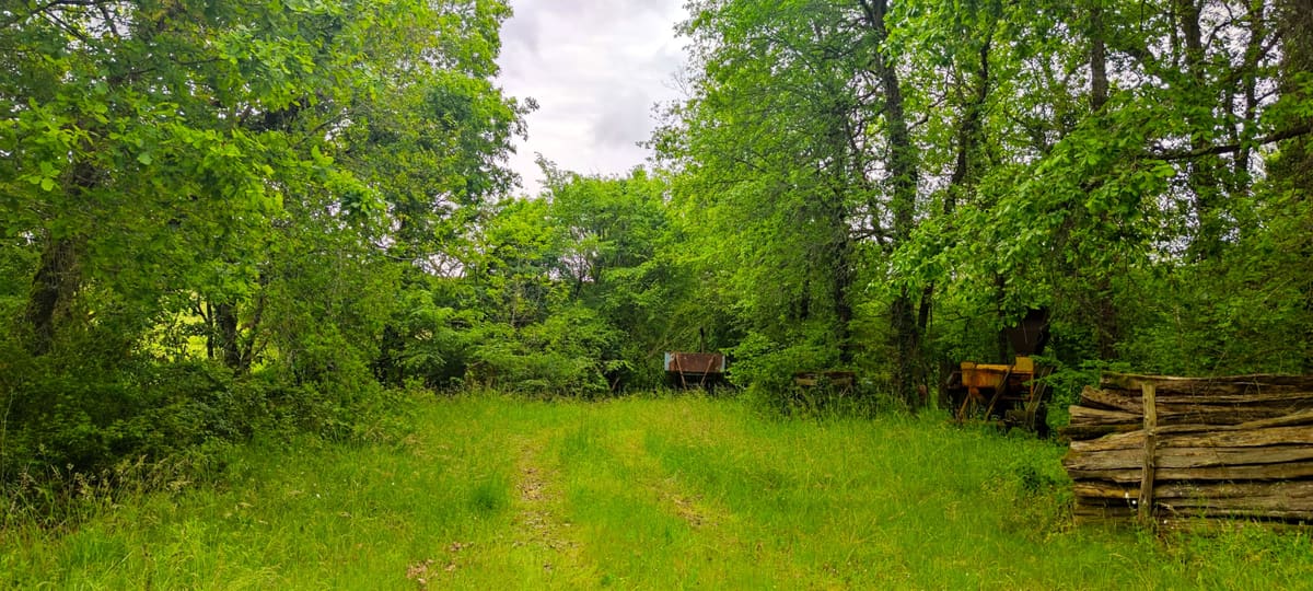 Photo du site de Lisse Lac
