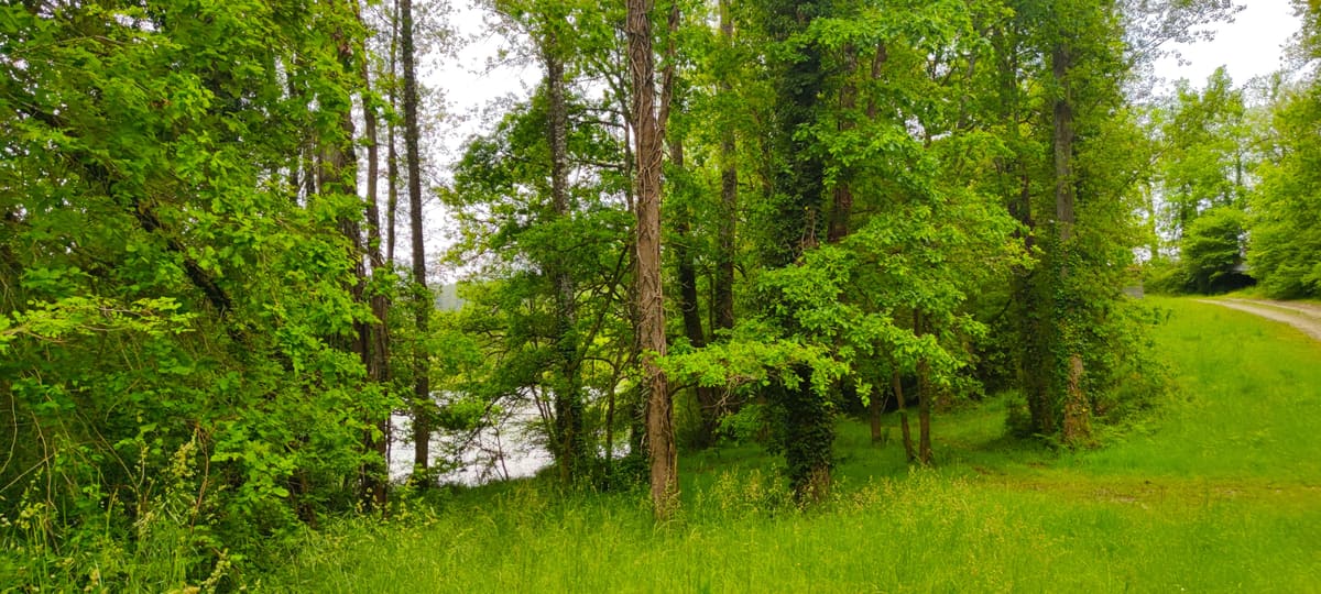 Photo du site de Lisse Lac