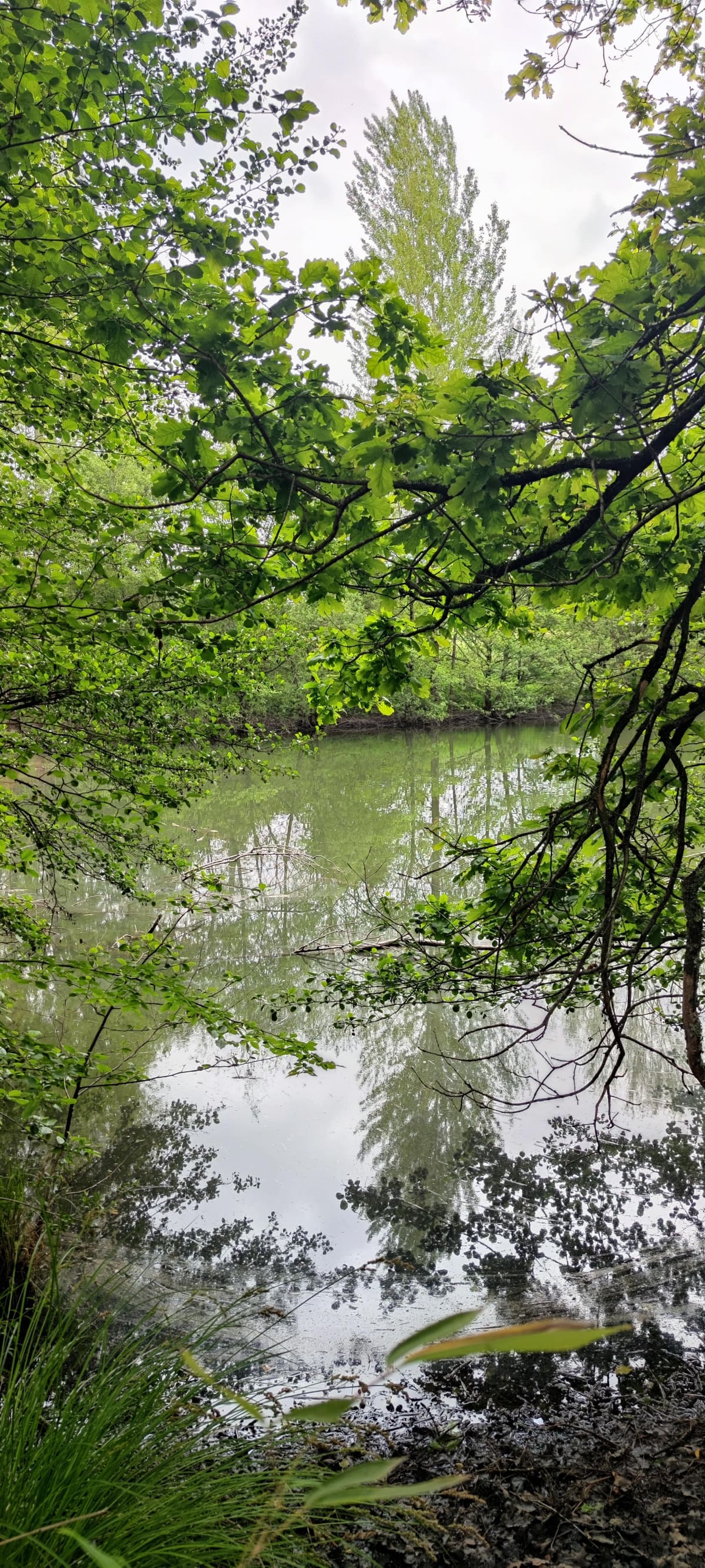 Photo du site de Lisse Lac