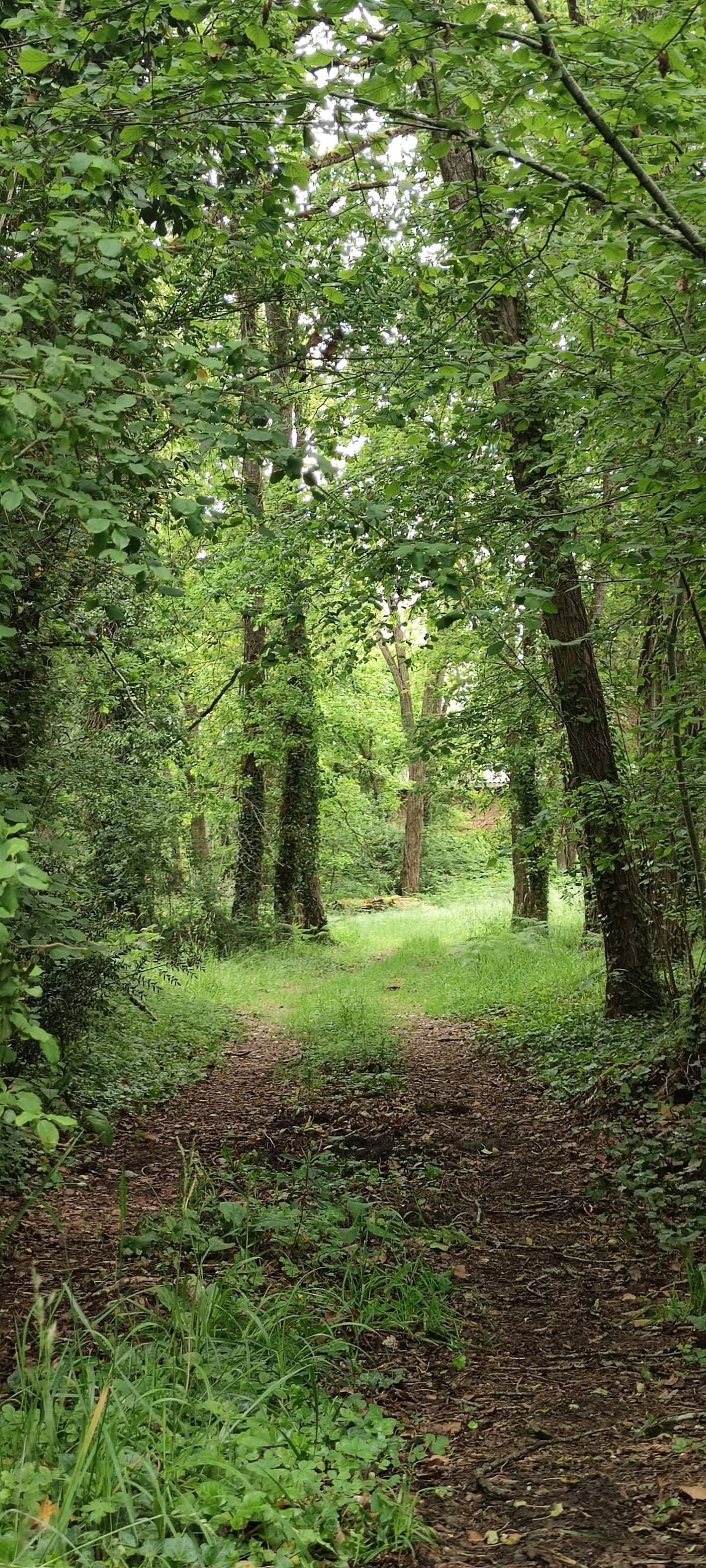 Photo du site de Lisse Lac
