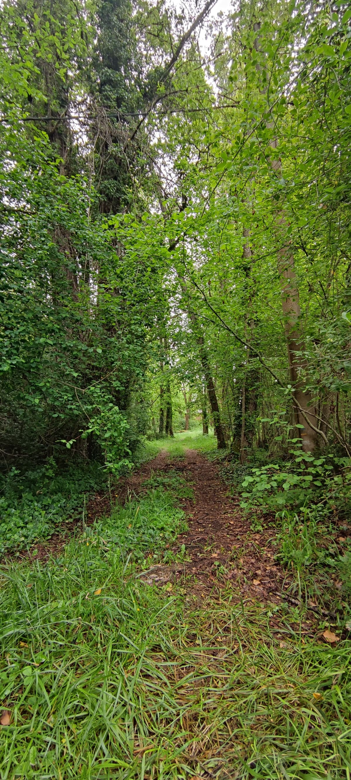 Photo du site de Lisse Lac