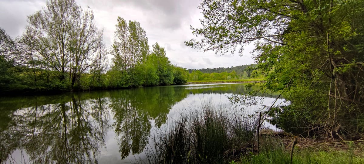 Photo du site de Lisse Lac