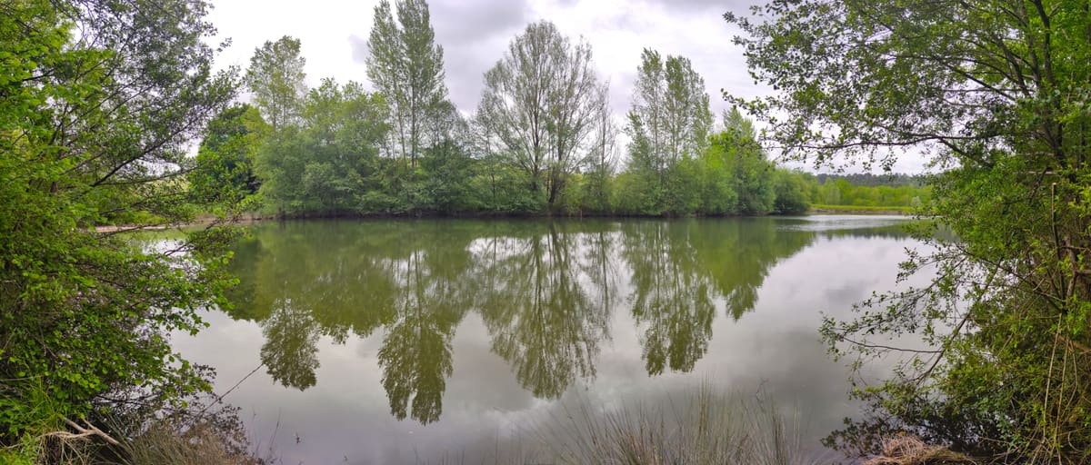 Photo du site de Lisse Lac