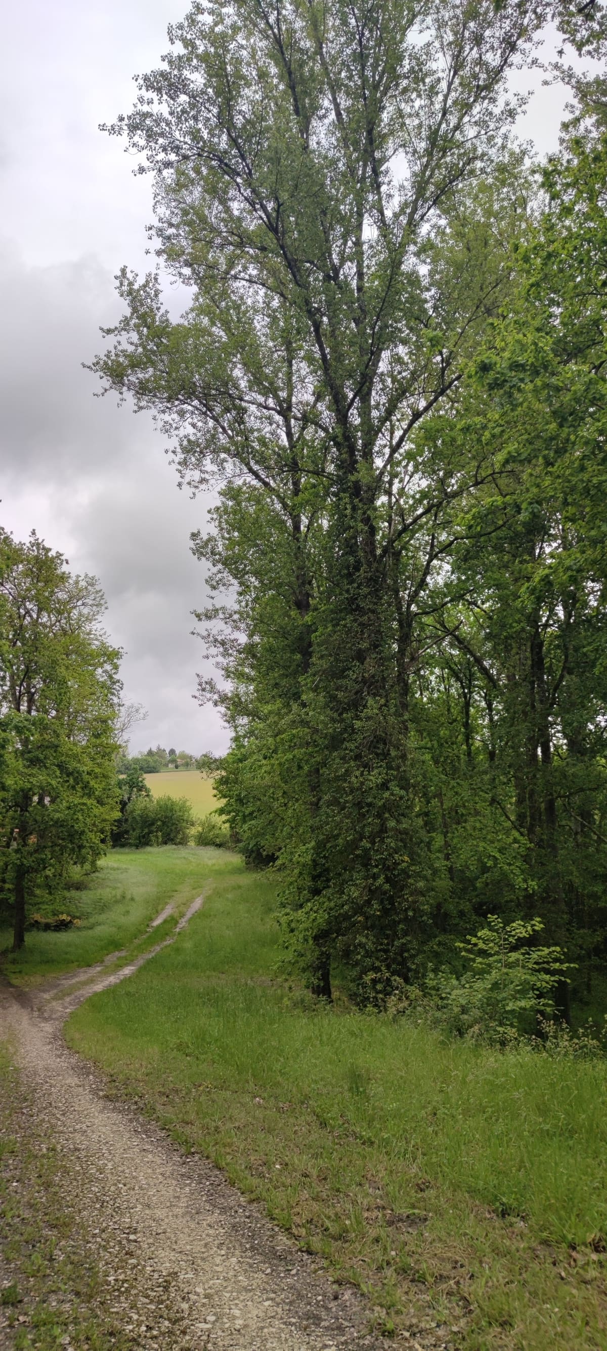 Photo du site de Lisse Lac