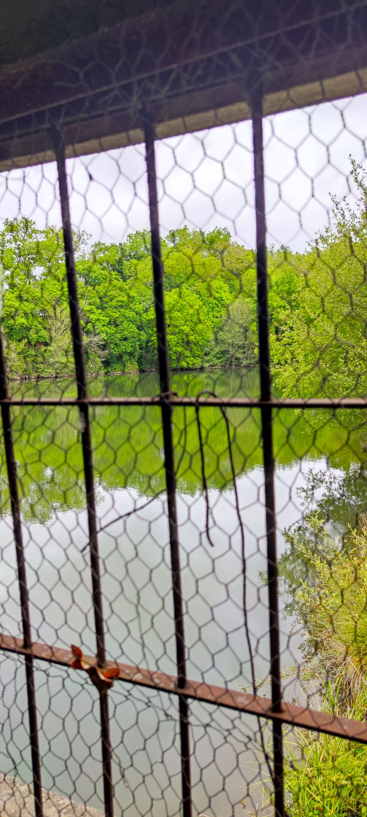 Photo du site de Lisse Lac