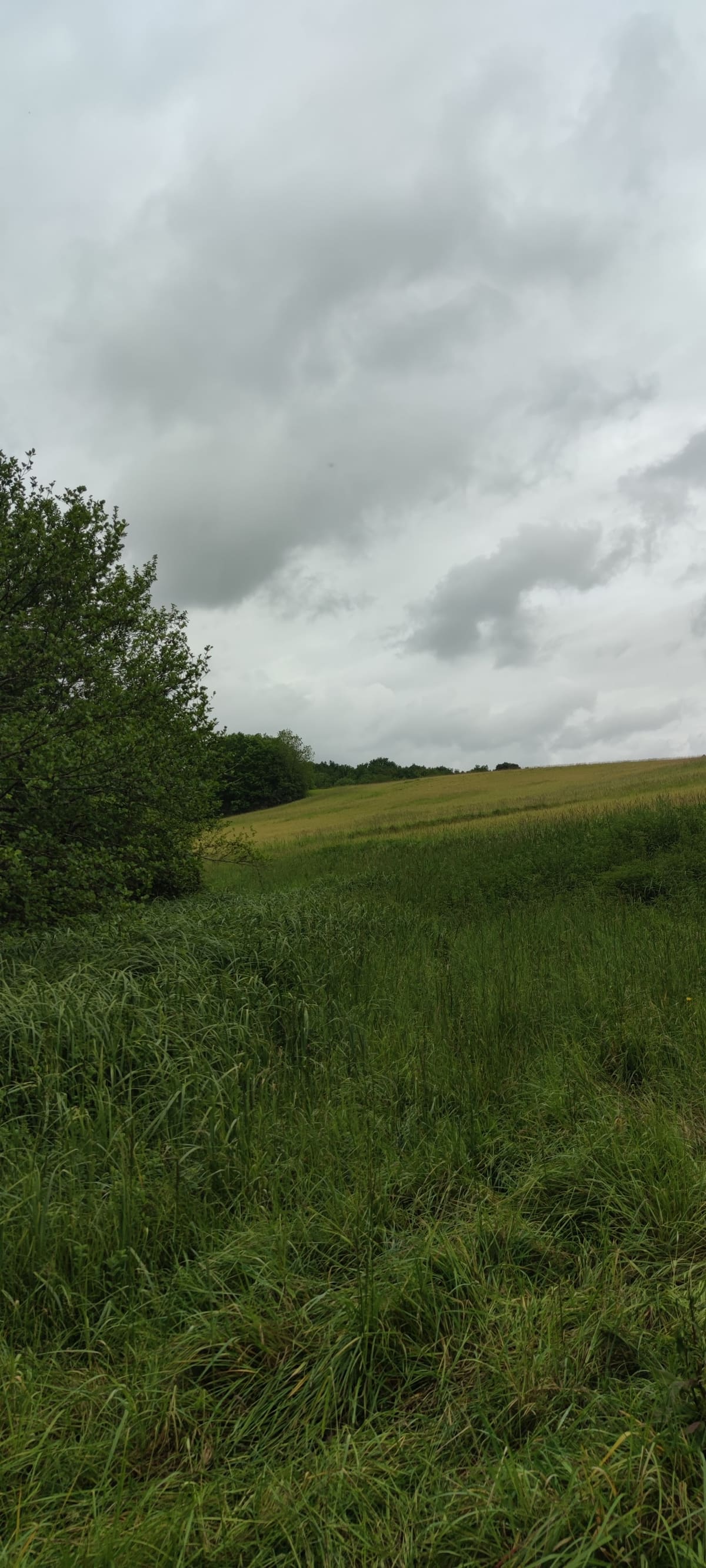Photo du site de Lisse Lac