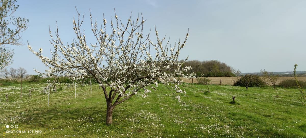 Photo du site de Lisse Lac